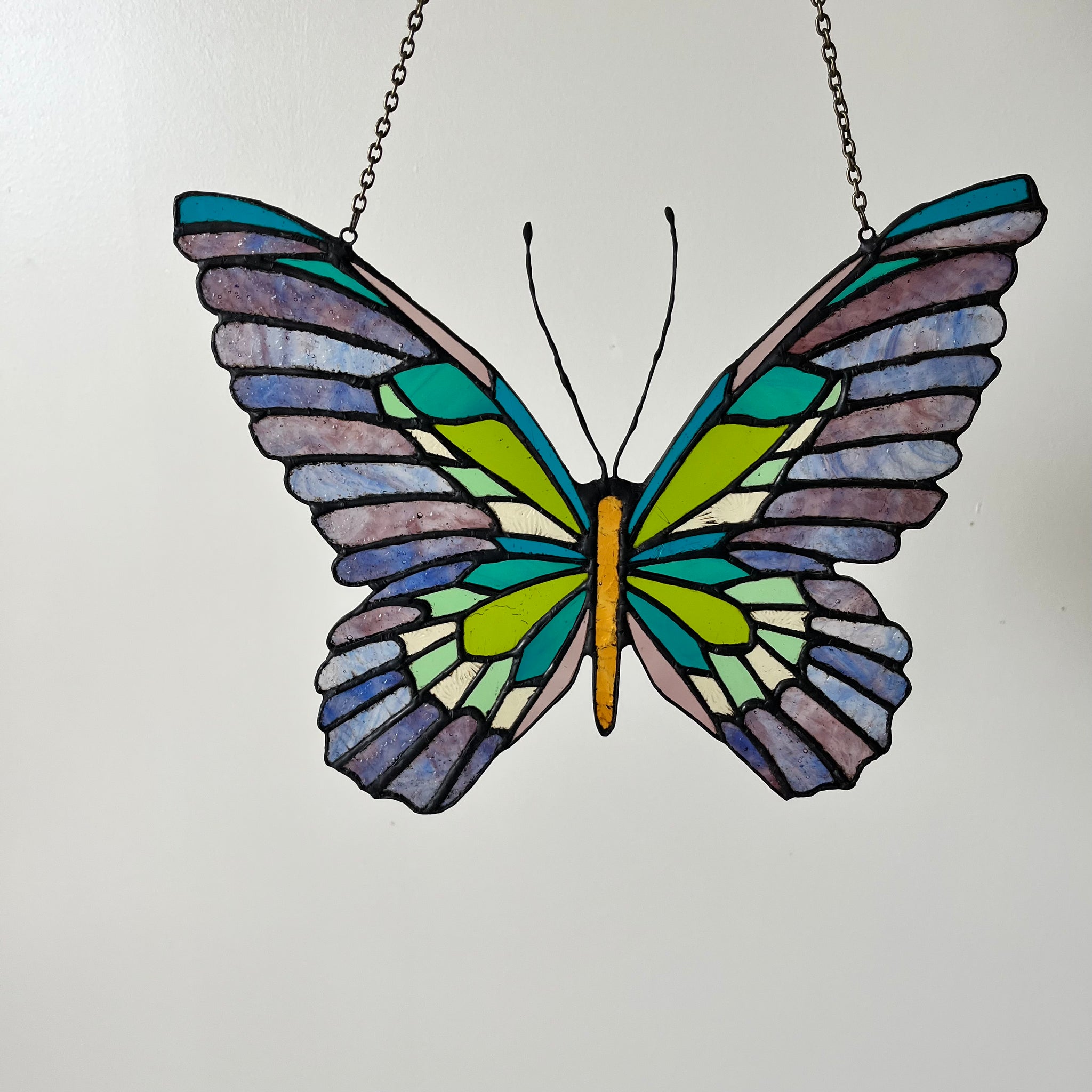 Butterfly  [NEW]